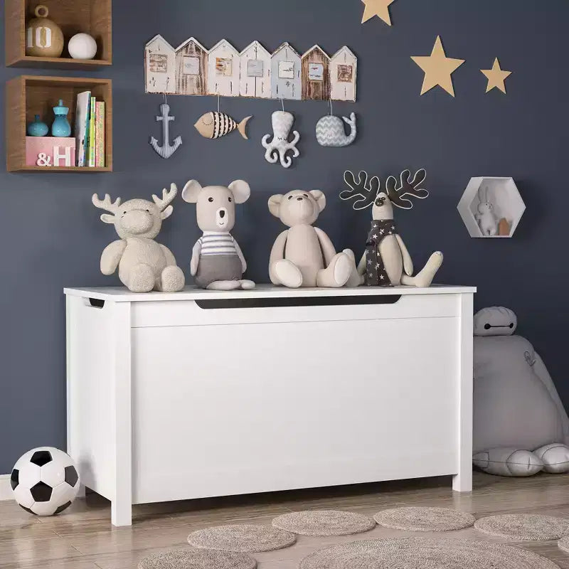 Boîte à jouets en bois avec couvercle à charnières de sécurité – Pour les 2 ans et plus